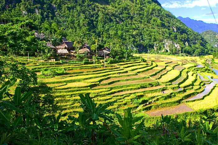 Le village Eo Ken est aussi un lieu connu pour admirer les rizières en terrasse