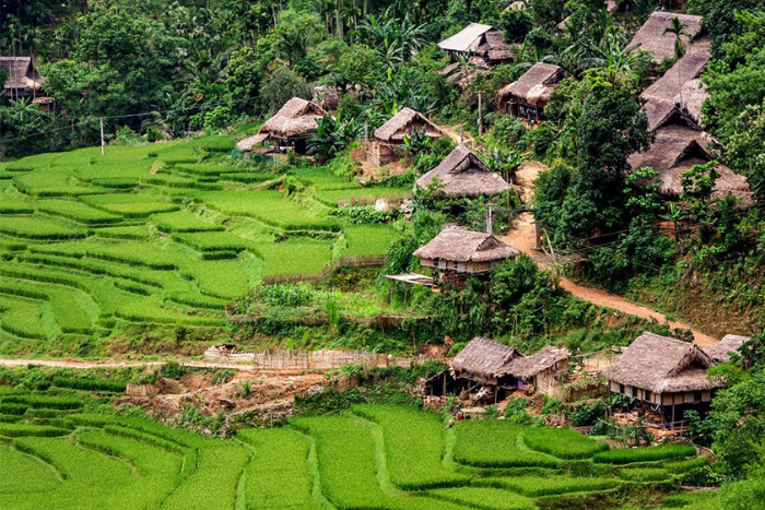 Vous pouvez visiter le village de Kho Muong si vous passez une journée à Pu Luong