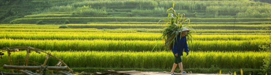 Il faut combien de temps pour visiter Pu Luong?