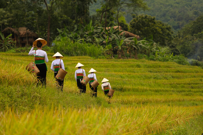 Les Thaïs à Don village Pu Luong