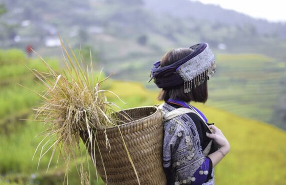 Découvrez L’ethnie Thaï Noir à Pu Luong, Vietnam