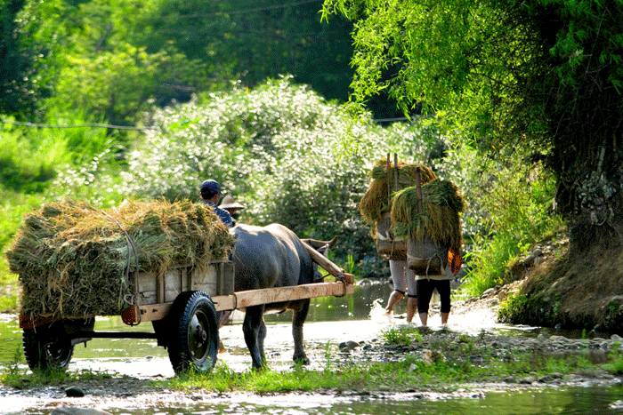 Les 3 villages de Son-Ba-Muoi