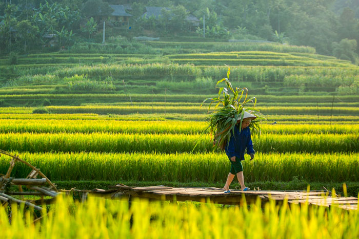 Village Kho Muong Puluong