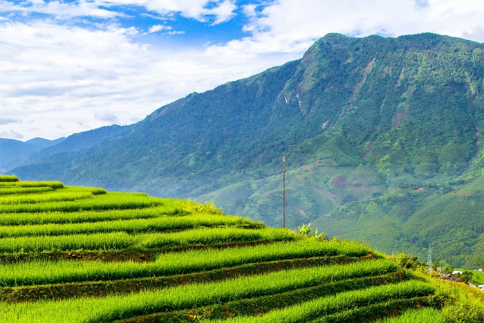 Quand partir à Mai Chau Pu Luong?