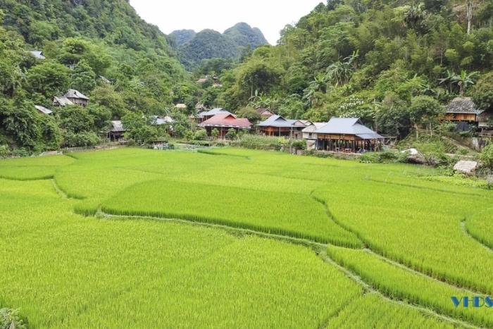 Village de Kho Muong : le joyau caché de Pu Luông