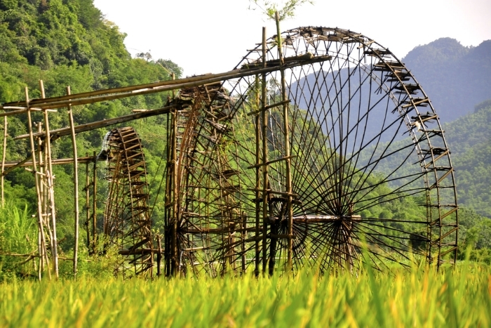 Réserve naturelle de Pu Luong, Vietnam