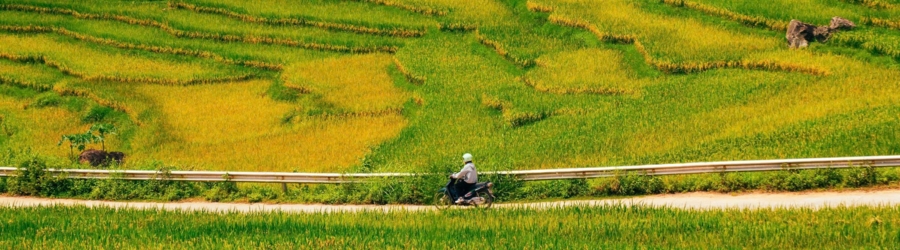 Meilleure p&eacute;riode pour visiter Pu Luong