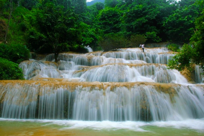 La cascade de Muon