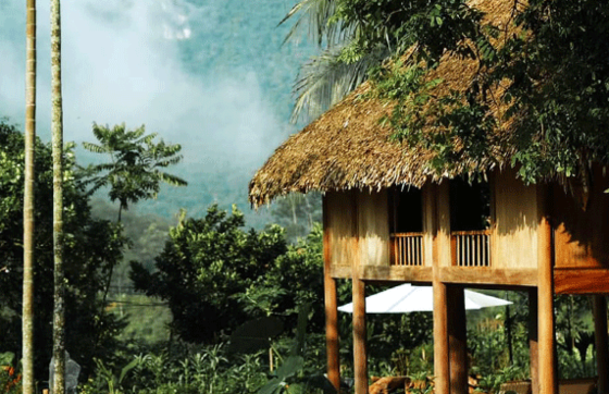 Top 12 Des Hébergements Chez Lhabitant à Pu Luong, Vietnam