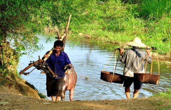 Village De Son Ba Muoi : Un Mini SaPa Dans La Réserve Naturelle De Pu Luong, Thanh Hoa, Vietnam