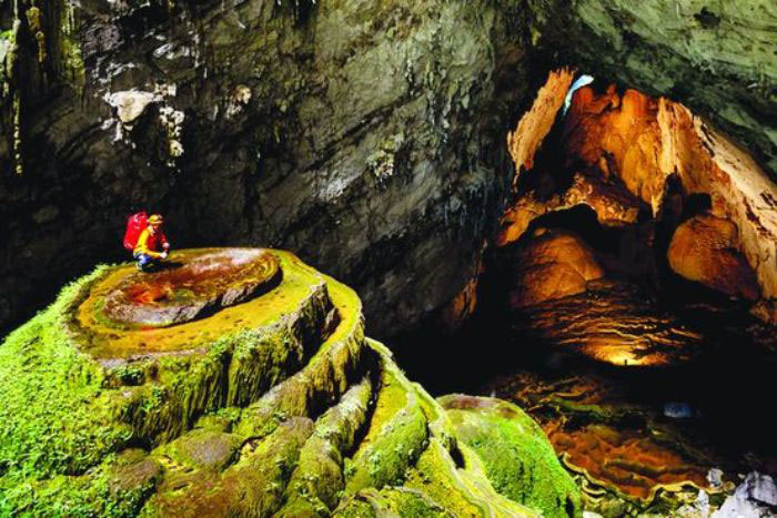 La Patte du Chien de Son Doong