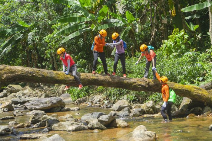 La meilleure destination pour faire du trek à Quang Binh est aussi un écosystème fragile
