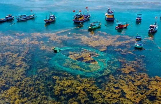 3 Jours à Quy Nhon Vietnam - Avis De Monsieur Dembski