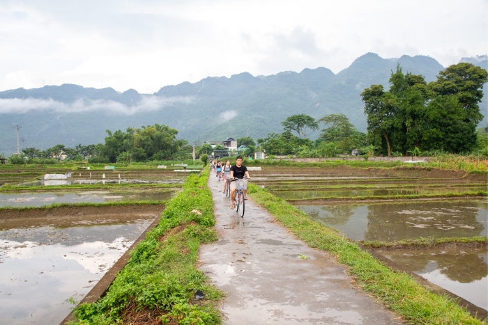 Sapa ou Ha Giang pour une coolcation Vietnam ?