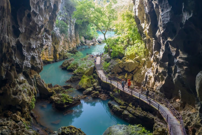 Exploration des grottes de Phong Nha-Kẻ Bàng, un joyau naturel du patrimoine mondial Vietnam
