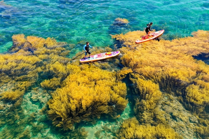 Snorkeling à Quy Nhon