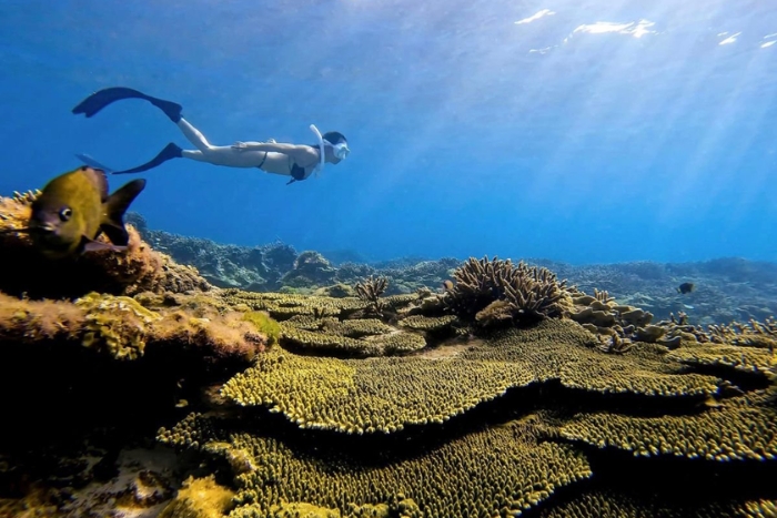 Quel est le prix du snorkeling au Centre Vietnam ?