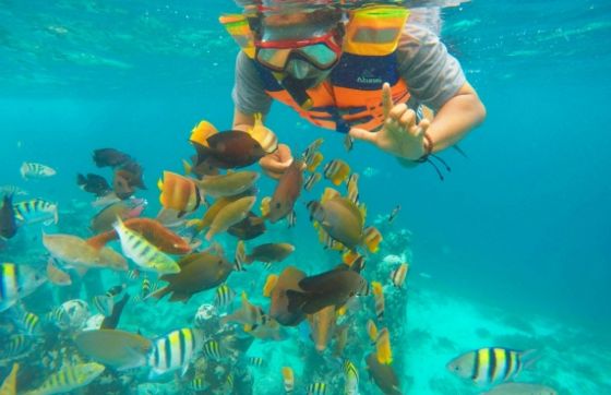 Snorkeling Au Nord Et Au Sud Du Vietnam - Quelle Région Choisir ?