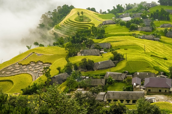 Ha Su Phi et ses terrasses rizicoles au Vietnam