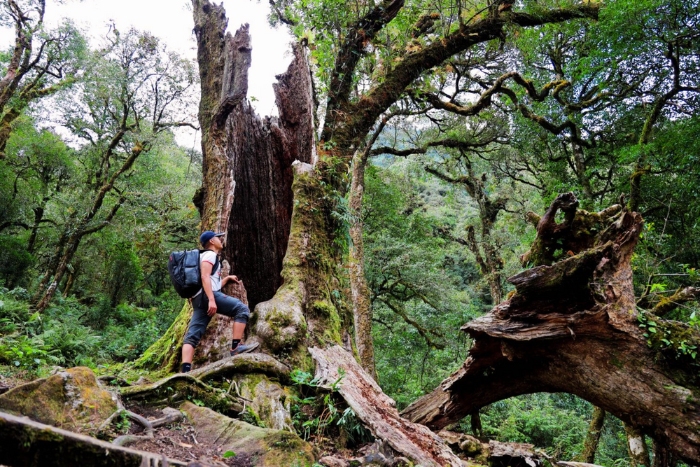 Ta Lien Son, une destination de trekking au Vietnam en avril &agrave; part