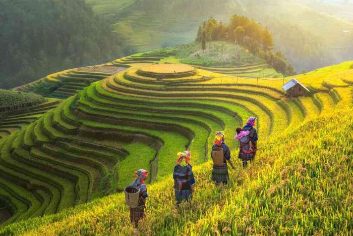  Quel est le meilleur mois pour aller au Vietnam ?