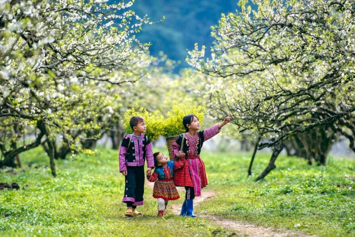 Visiter le Vietnam en saison sèche avec des vacances intéressantes !
