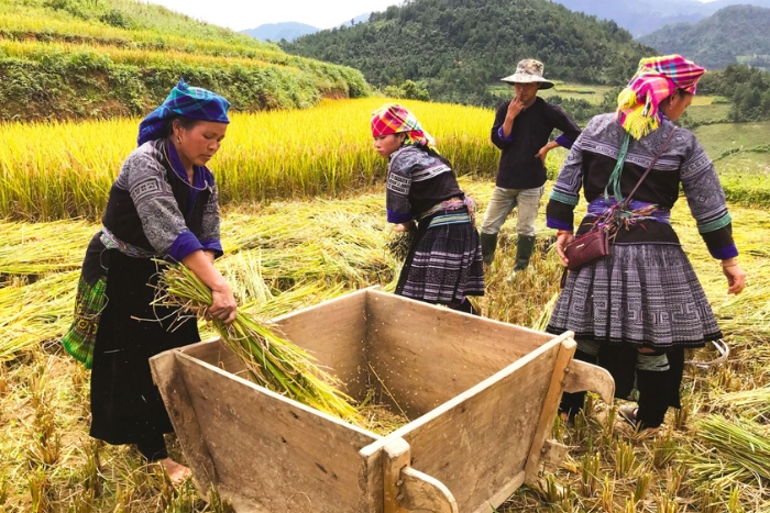 Pourquoi choisir Vietnam pour vos voyages seules femmes ? 
