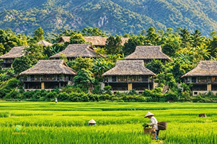 Les paysages verdoyants de Mai Chau au mois de mars
