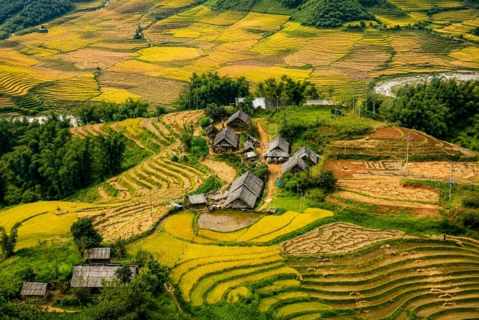 Randonn&eacute;e au c&oelig;ur des paysages agricoles de Lao Chai Ta Van &agrave; Sapa