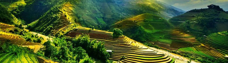 Organisez un voyage 2 semaines au Vietnam à prix bas