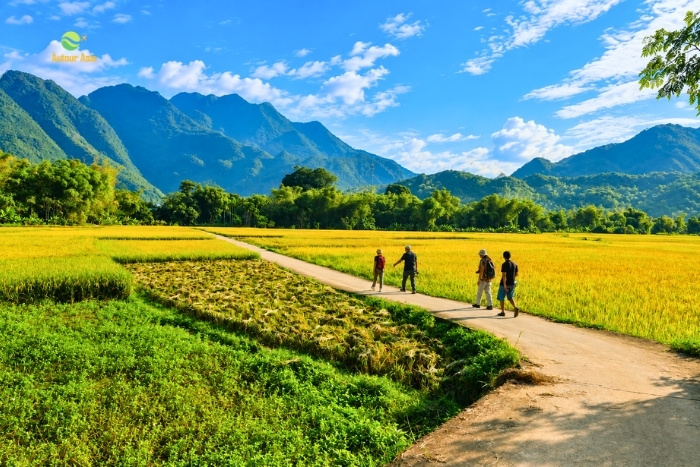 Voyage au Vietnam entre paysages et traditions