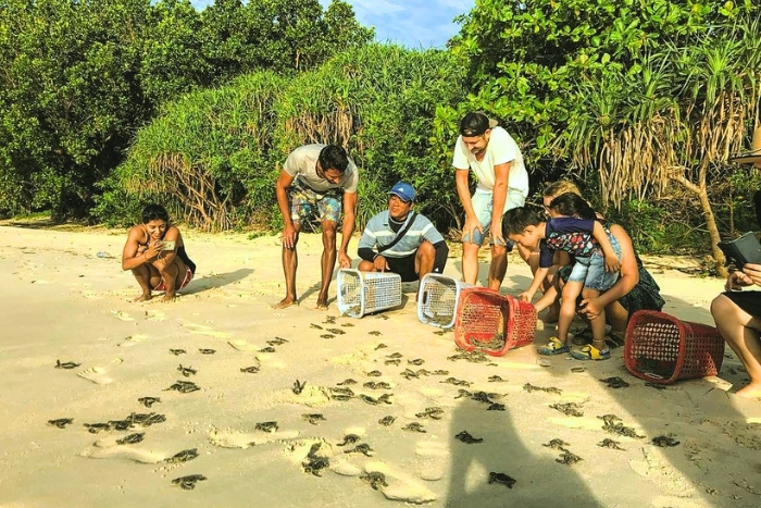 Que faire au Vietnam avec des enfants ? Observer les tortues marines à Con Dao