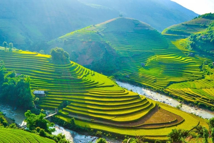 Les rizières en terrasses dans le nord du Vietnam