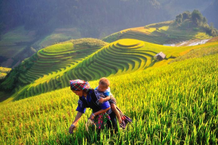 Minorité ethnique à Mu Cang Chai