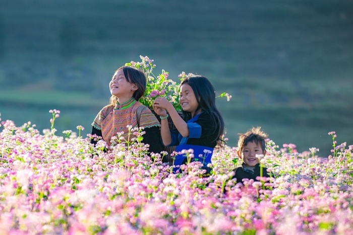 Où partir en novembre pour admirer des paysages? Direction Ha Giang, Vietnam!