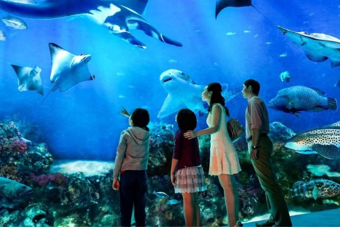 Où partir en vacances en octobre avec les enfants? Découvrez le S.E.A. Aquarium, au Singapour!