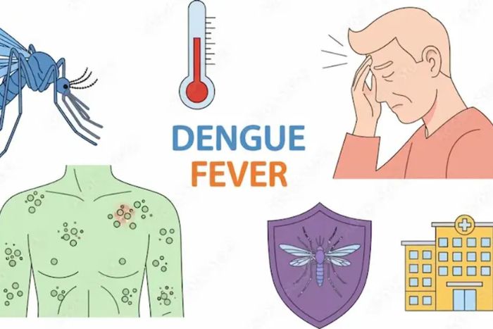 Les principaux sympt&ocirc;mes de la dengue