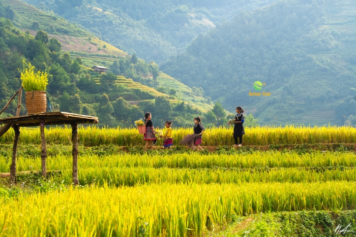 Préserver le Vietnam - Voyager avec respect et bienveillance