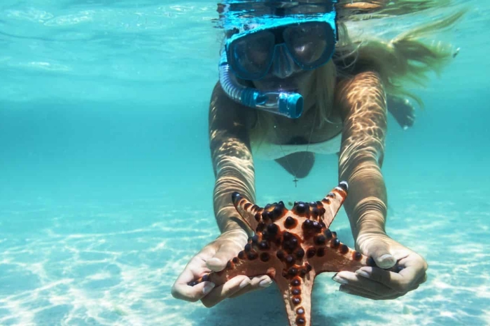 Speedboat autour de Con Dao : une exp&eacute;rience de snorkeling incontournable au Vietnam