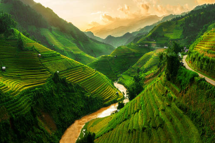 Admirez la beauté à couper le souffle de Sapa en juillet