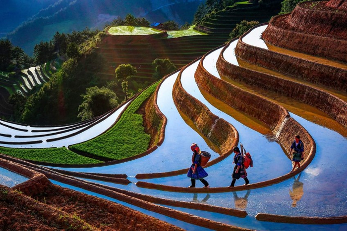 Mu Cang Chai, où partir au Vietnam en juin? 