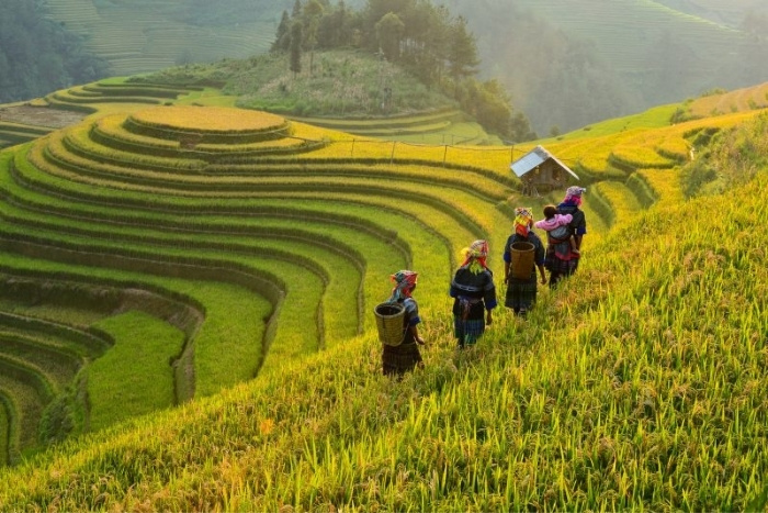 Pourquoi choisir l’Asie du Sud-Est pour un voyage en famille ?
