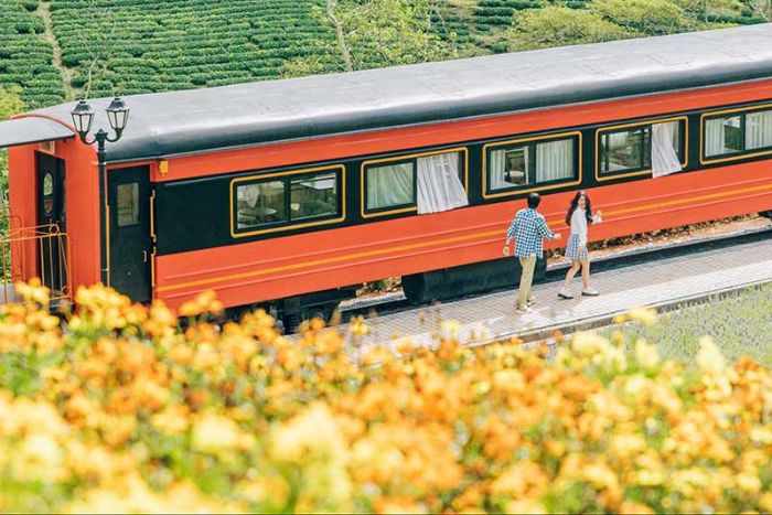 Train Dalat - Trai Mat au Vietnam