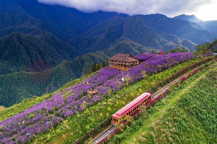 Train Muong Hoa à Sapa Vietnam