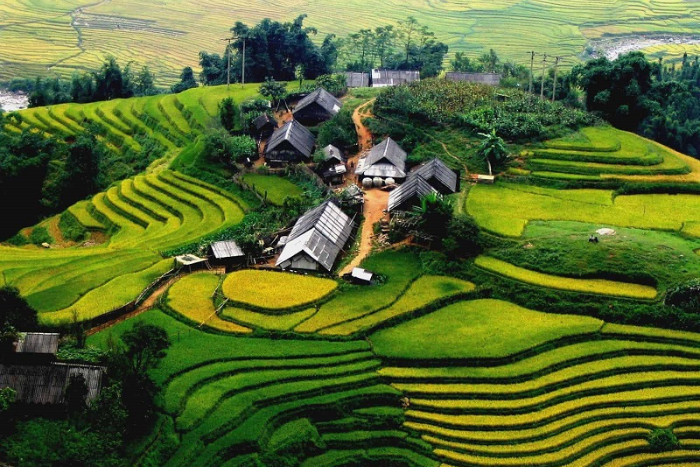 Rizières en terrasse à Sapa - un paysage à ne pas manquer lors du voyage au Vietnam et Cambodge