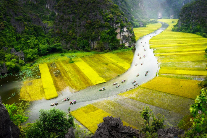 Les touristes font une balade en bateau pour admirer la rizière de Tam Coc, Ninh Binh