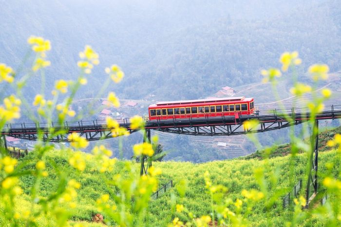 Train de Muong Hoa au sommet du mont Fansipan