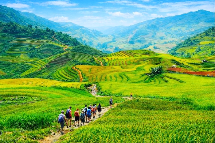 Randonnée vers Lao Chai et Ta Van au cœur des paysages du Nord