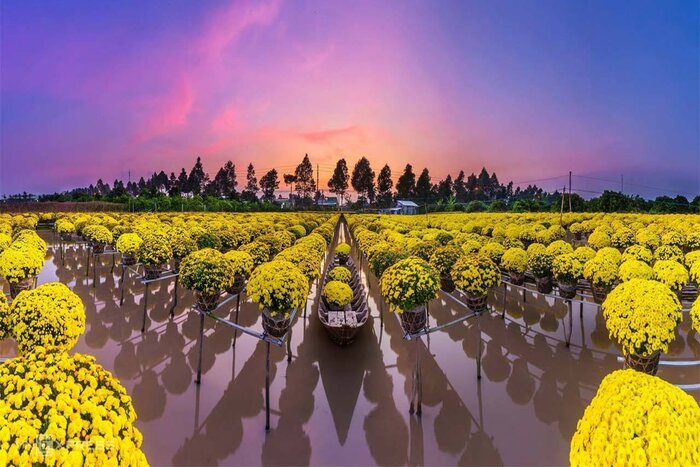 Le village de fleurs de Sa Dec