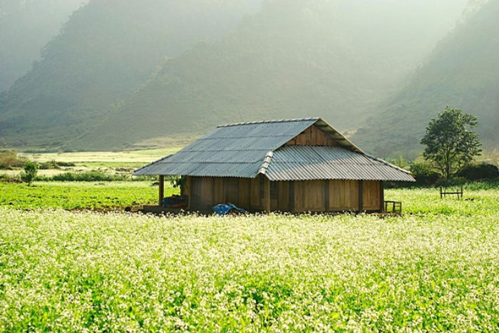 Nord du Vietnam